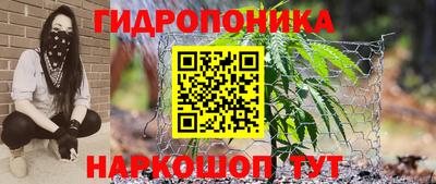 apvp Балашиха