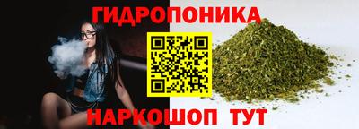 сатива Балахна