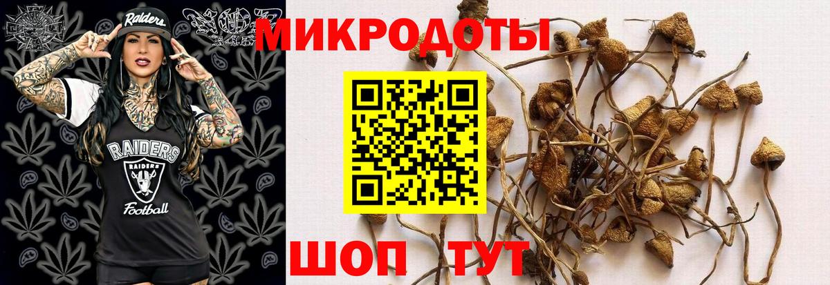 Галлюциногенные грибы MAGIC MUSHROOMS Верхний Уфалей